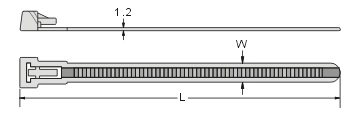 0315-11t.jpg